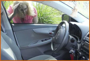 Village Locksmith Store Pittsburgh, PA 412-595-9427 - 15-emergency-lockout